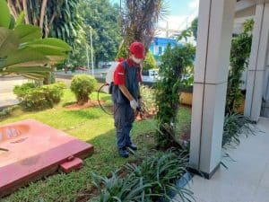 Petrokil Pest Control, Jasa Anti Rayap & Pengendali Hama Profesional